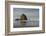 Haystack Rock on Cannon Beach, Oregon-Greg Probst-Framed Photographic Print