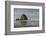 Haystack Rock on Cannon Beach, Oregon-Greg Probst-Framed Photographic Print