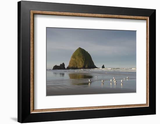 Haystack Rock on Cannon Beach, Oregon-Greg Probst-Framed Photographic Print