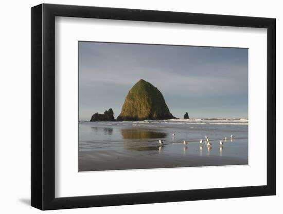 Haystack Rock on Cannon Beach, Oregon-Greg Probst-Framed Photographic Print