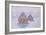 Haystacks, 1891-Claude Monet-Framed Giclee Print