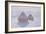 Haystacks, 1891-Claude Monet-Framed Giclee Print