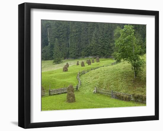 Haystacks, Bucovina, Romania-Russell Young-Framed Photographic Print