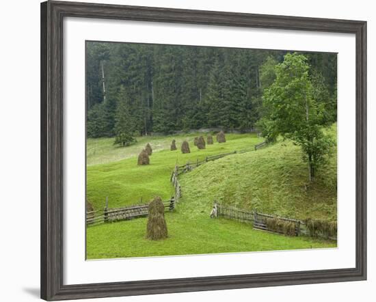 Haystacks, Bucovina, Romania-Russell Young-Framed Photographic Print