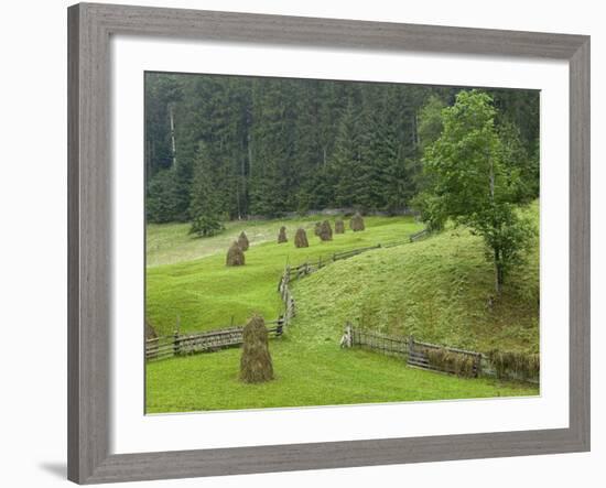 Haystacks, Bucovina, Romania-Russell Young-Framed Photographic Print