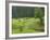 Haystacks, Bucovina, Romania-Russell Young-Framed Photographic Print