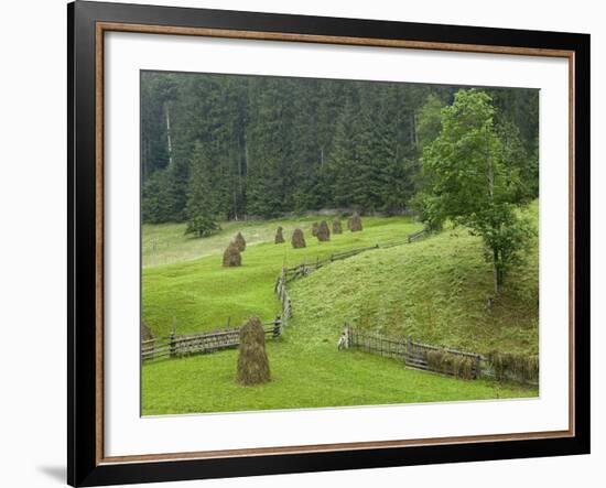 Haystacks, Bucovina, Romania-Russell Young-Framed Photographic Print
