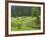 Haystacks, Bucovina, Romania-Russell Young-Framed Photographic Print