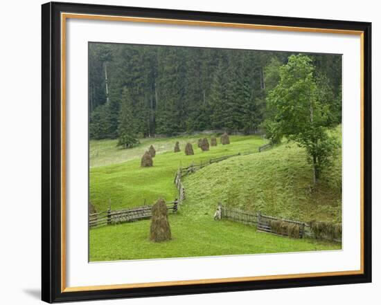 Haystacks, Bucovina, Romania-Russell Young-Framed Photographic Print