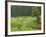 Haystacks, Bucovina, Romania-Russell Young-Framed Photographic Print