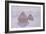 Haystacks (Effect of Snow and Sun), 1891-Claude Monet-Framed Giclee Print