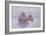 Haystacks, Effect of Snow and Sun by Claude Monet-Claude Monet-Framed Giclee Print