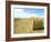 Haystacks, North Dakota, USA-Ethel Davies-Framed Photographic Print