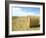 Haystacks, North Dakota, USA-Ethel Davies-Framed Photographic Print