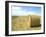 Haystacks, North Dakota, USA-Ethel Davies-Framed Photographic Print