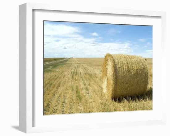 Haystacks, North Dakota, USA-Ethel Davies-Framed Photographic Print