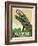 Hayward Muskie-Steve Thomas-Framed Giclee Print