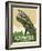 Hayward Muskie-Steve Thomas-Framed Giclee Print