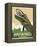 Hayward Muskie-Steve Thomas-Framed Premier Image Canvas