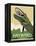 Hayward Muskie-Steve Thomas-Framed Premier Image Canvas