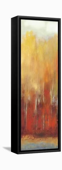 Haze II-Sloane Addison  -Framed Stretched Canvas