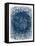 Haze-Petr Strnad-Framed Premier Image Canvas