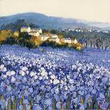 Evening Light, Languedoc-Hazel Barker-Framed Giclee Print