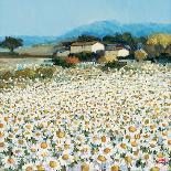 Lemon Grove, Tuscany-Hazel Barker-Giclee Print