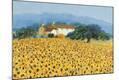 Giclee Print