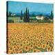 Stretched Canvas Print