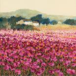 Le Jardin Rouge, Provence-Hazel Barker-Art Print