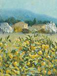 Lemon Grove, Tuscany - Observation-Hazel Barker-Giclee Print