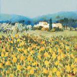 Farm Near Siena-Hazel Barker-Giclee Print