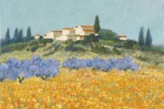 Champs d'Iris, Provence-Hazel Barker-Art Print
