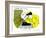 Hazel Cartoon-Ted Key-Framed Giclee Print