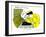 Hazel Cartoon-Ted Key-Framed Giclee Print