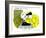 Hazel Cartoon-Ted Key-Framed Giclee Print