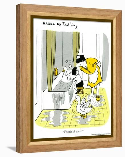 Hazel Cartoon-Ted Key-Framed Premier Image Canvas