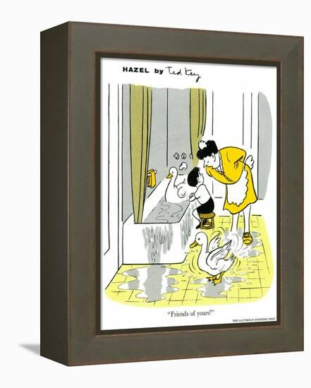 Hazel Cartoon-Ted Key-Framed Premier Image Canvas