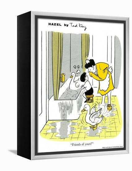 Hazel Cartoon-Ted Key-Framed Premier Image Canvas