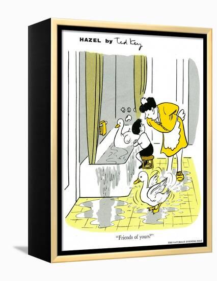 Hazel Cartoon-Ted Key-Framed Premier Image Canvas