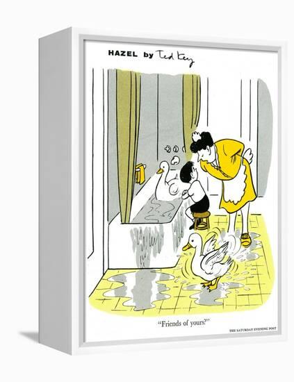 Hazel Cartoon-Ted Key-Framed Premier Image Canvas