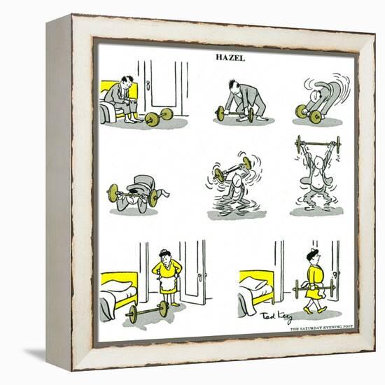 Hazel Cartoon-Ted Key-Framed Premier Image Canvas