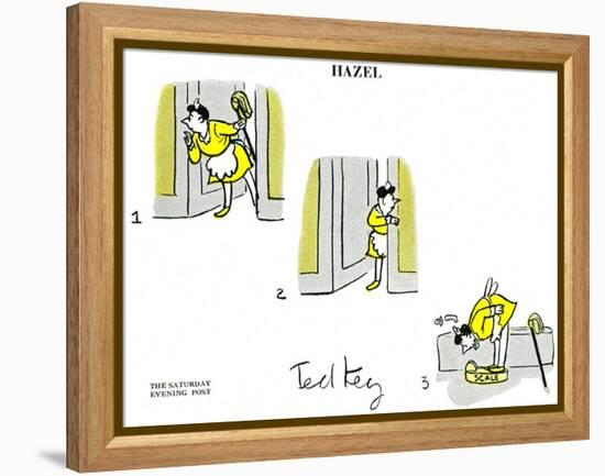 Hazel Cartoon-Ted Key-Framed Premier Image Canvas