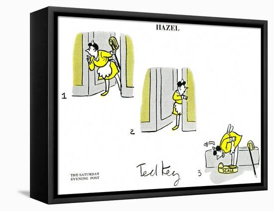 Hazel Cartoon-Ted Key-Framed Premier Image Canvas