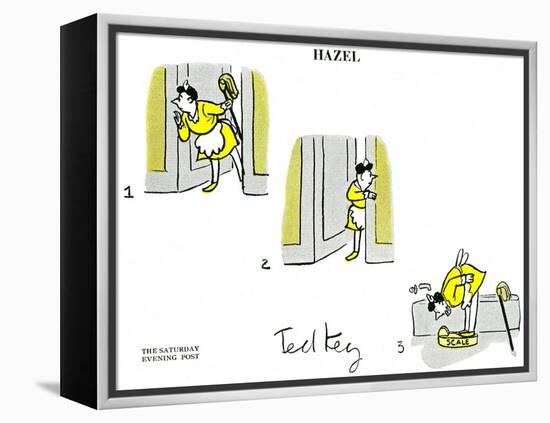 Hazel Cartoon-Ted Key-Framed Premier Image Canvas