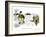 Hazel Cartoon-Ted Key-Framed Giclee Print