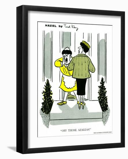 Hazel Cartoon-Ted Key-Framed Giclee Print