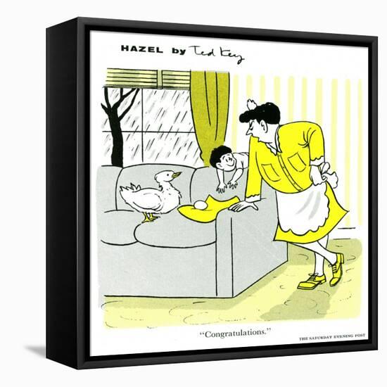 Hazel Cartoon-Ted Key-Framed Premier Image Canvas