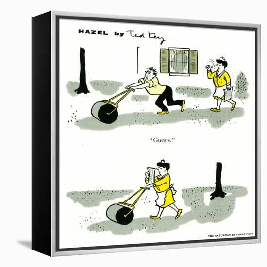 Hazel Cartoon-Ted Key-Framed Premier Image Canvas